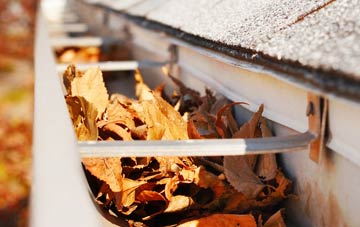 Bingham gutter cleaning companies